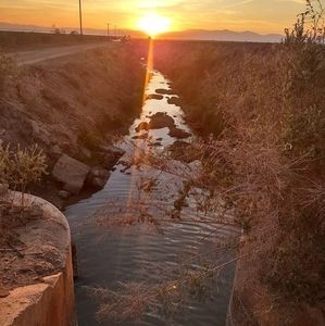 Meet your Posher, Bulmaro